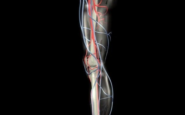 Des jambes biomécaniques font avancer la robotique à pas de géant