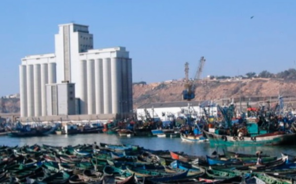 Reprise progressive des activités de pêche à Safi