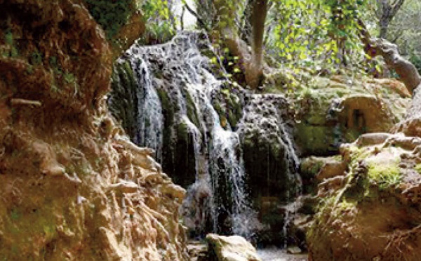Le confinement redonne des couleurs à la nature à Ifrane