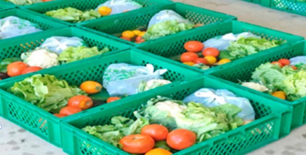 Des paniers de légumes livrés à domicile à Agadir