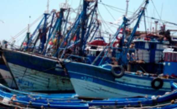 L'activité de la pêche maritime se poursuit et l'offre sera renforcée