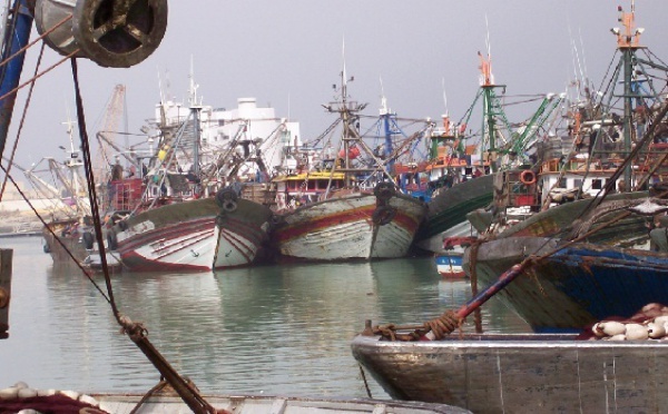 Les débarquements progressent de 48% à fin juin : La pêche côtière et artisanale a le vent en poupe