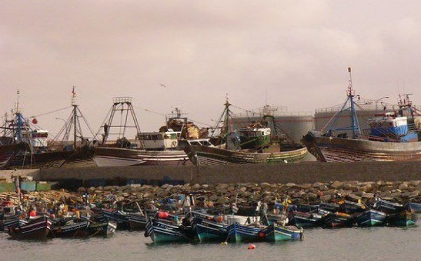 A cause de la cessation d’activités de leur entreprise : 1.500 officiers et marins pêcheurs en rade à Tan Tan