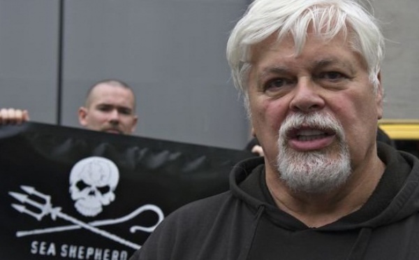 Interpol aux trousses d’un ancien membre de Greenpeace : Mandat d’arrêt à l’encontre de l’écologiste Watson