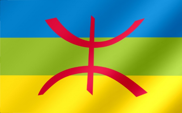 Le mouvement amazigh monte au créneau : La loi organique vivement attendue