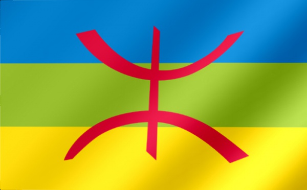 Le mouvement amazigh monte au créneau : La loi organique vivement attendue