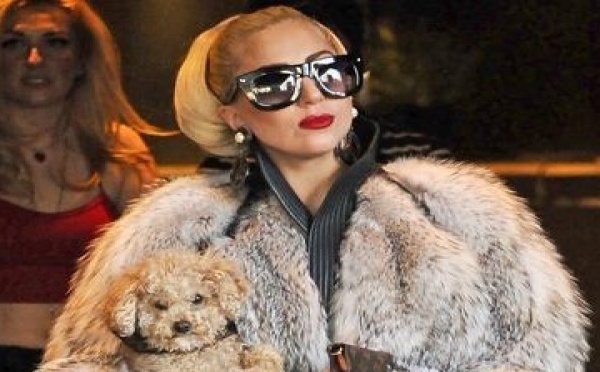 Lady Gaga s'explique sur ses manteaux en fourrure