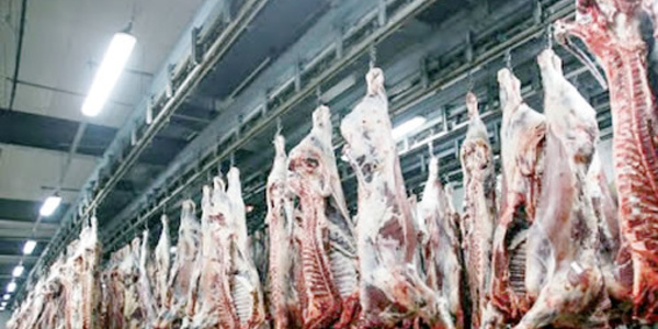 ​Les abattoirs de Casablanca certifiés ISO 22000 pour la troisième fois consécutive