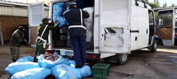 L’essentiel de la lutte contre les trafics  illicites en 2019