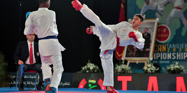 L'examen du calendrier de la saison 2020 au centre d'une réunion en ligne de l'Union arabe de karaté