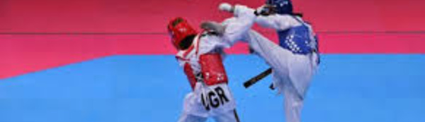 Une session de formation à distance au profit des entraîneurs de taekwondo