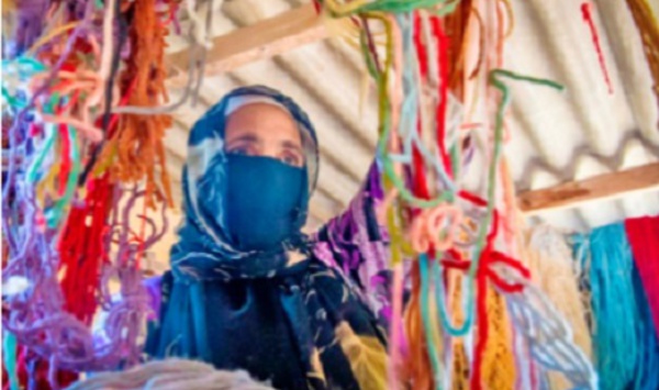 ​La grande déprime des artisans