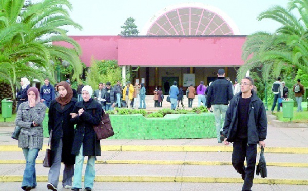 Enseignement des langues à l’université : Un échec surmontable