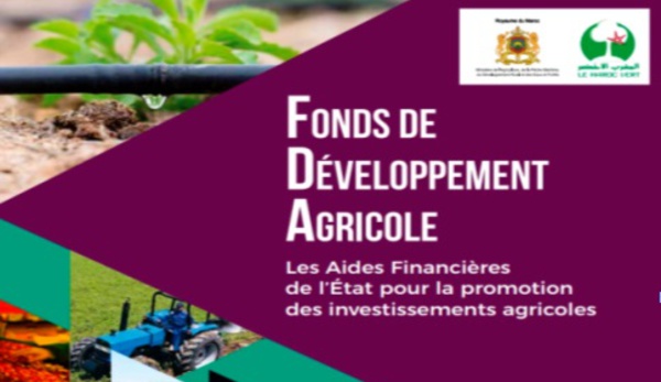 ​Hausse des subventions accordées aux  agriculteurs de la région du Gharb en 2019