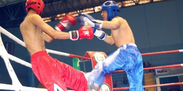 ​Championnat national virtuel de muai-thaï