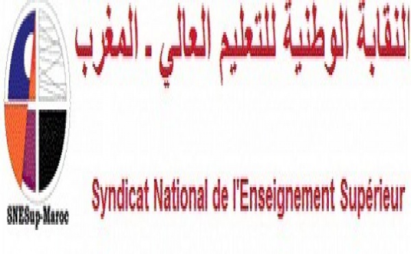 SNESup et Mouvement du 20 février montent au créneau : La politique de Lahcen Daoudi dénoncée
