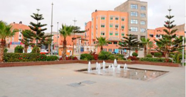 ​La propagande algéro-polisarienne disséquée en visioconférence