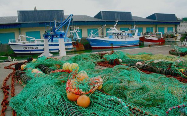 Pêche et aquaculture: comment nourrir les hommes en sauvant les poissons ?