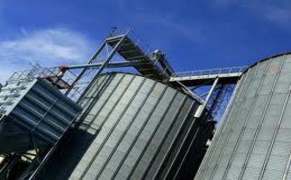 En raison de la faiblesse de la production nationale : Les importations de blé français appelées à augmenter