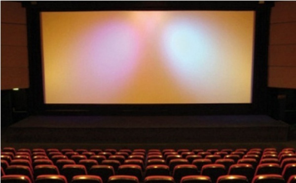 Clôture aujourd’hui des premières Assises nationales sur le cinéma : Créer les condition du développement