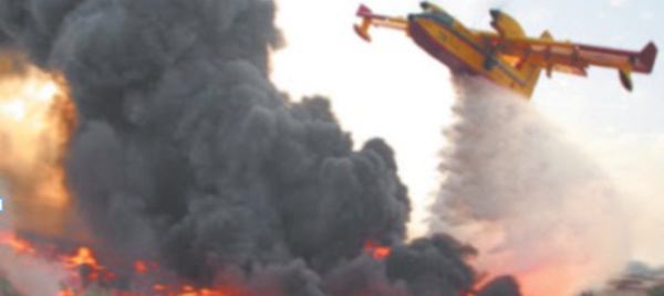​La Forêt diplomatique de Tanger ravagée par le feu