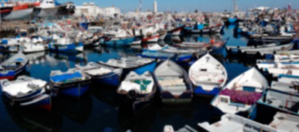 ​Campagne de sensibilisation à Tanger au profit  des professionnels de pêche