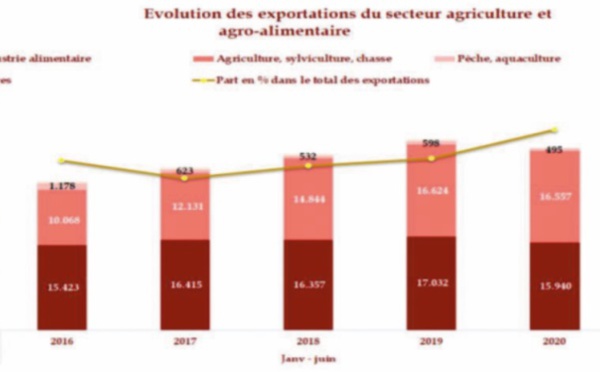 ​Recul des ventes de la quasi-totalité des secteurs au premier semestre