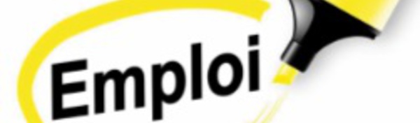 ​Lancement d’une initiative d’appui à l’évaluation des politiques de l’emploi et du marché du travail