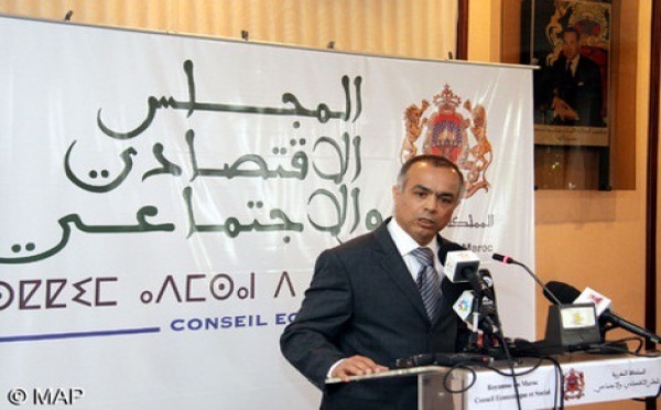 Le CES devient CESE : Changement de sigle et élargissement des attributions