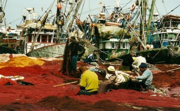 Négociations de pêche entre Rabat et l'UE : Le premier round dévoile les divergences des parties