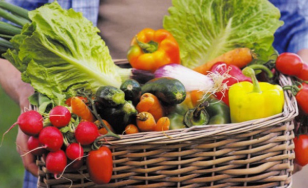 Les prix des légumes poursuivent leur baisse
