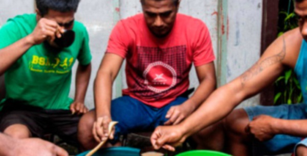 ​Aux Fidji, la consommation du kava s'adapte au coronavirus