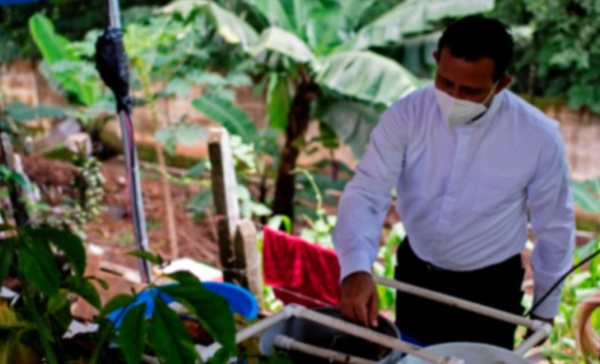 Au Salvador, pisciculture et potagers contre les pénuries en temps de pandémie
