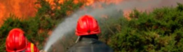 ​L’incendie de la forêt domaniale de Ghiraya maîtrisé