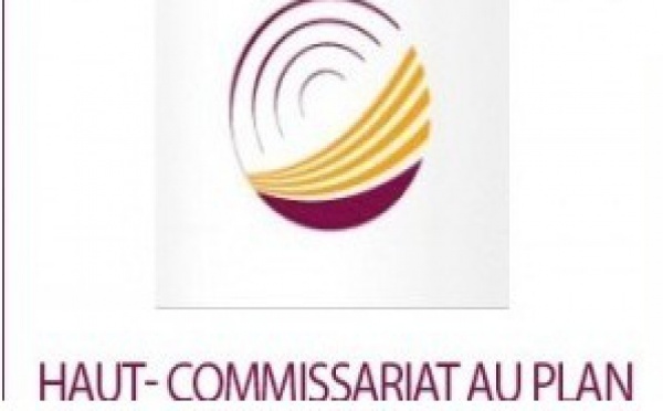 Selon le HCP : Hausse des prix à la consommation