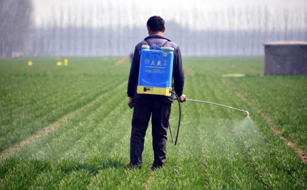 Des pesticides interdits exportés vers le Maroc