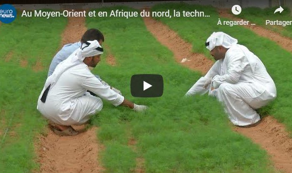 Au Moyen-Orient et en Afrique du nord, la technologie façonne le futur de l'agriculture