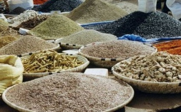 Selon le directeur régional de l'agriculture du Grand Casablanca : La commercialisation, maillon faible des produits du terroir