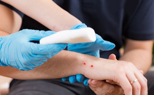 De plus en plus grande, la promiscuité entre les hommes et les serpents augmente les risques d’accidents