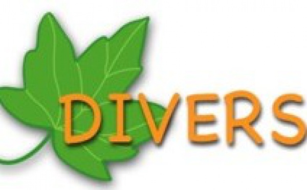 Divers