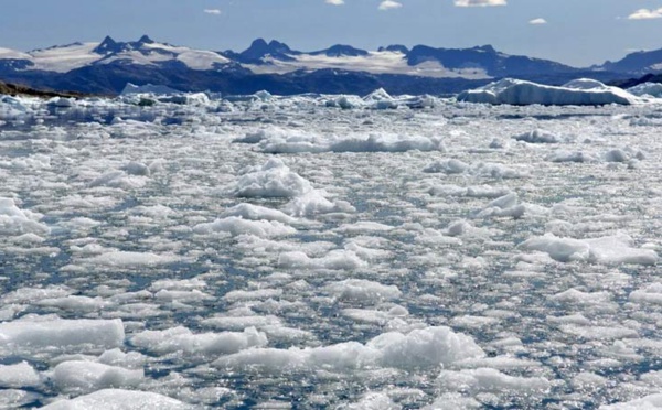 La banquise d'été de l'Arctique au deuxième plus bas niveau jamais observé