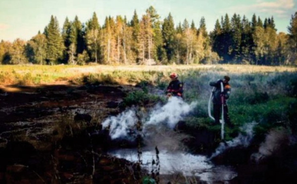 En Sibérie, des feux “ zombies ” attisés par le changement climatique