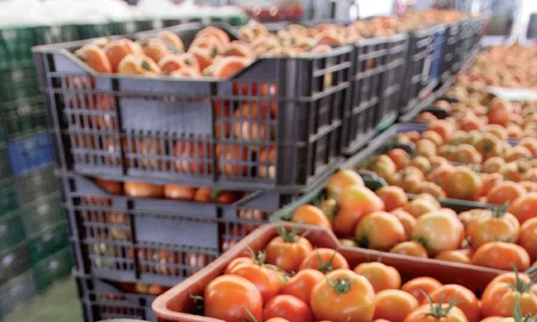 Hausse de la valeur des exportations agricoles durant la campagne 2019-2020