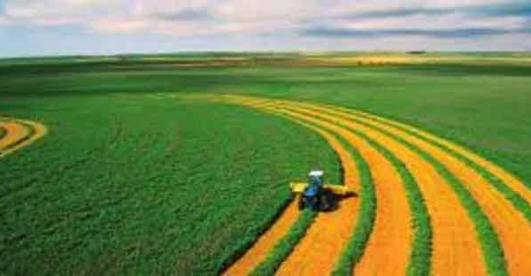 L’ agriculture, pièce-maîtresse de la relance économique