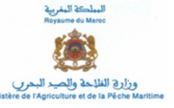 Le ministère de l’Agriculture prévoit un retour à la normale