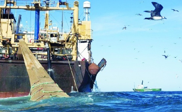 Madrid met la pression pour parvenir à un nouvel accord de pêche avec le Maroc : Nouveau round de négociations avec l’UE à Rabat