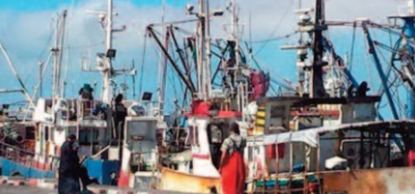 L’économie maritime, une réelle locomotive de développement pour les provinces du Sud