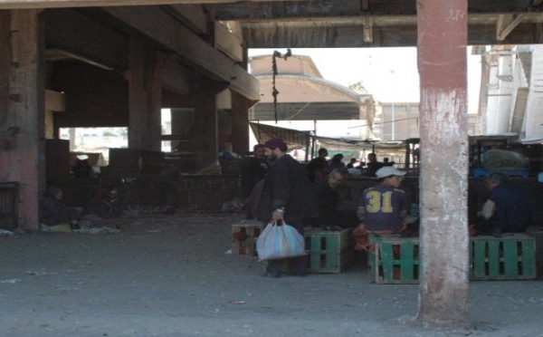 Le marché de gros des volailles de Casablanca restera en place