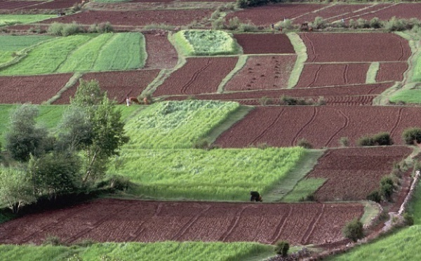 La croissance demeure tributaire de Dame nature