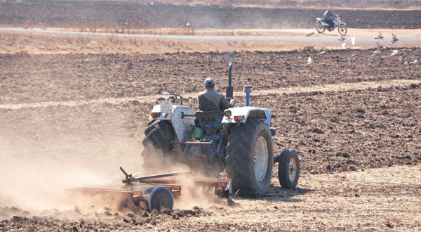 Les précipitations font le bonheur des agriculteurs